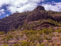 Gran Canaria